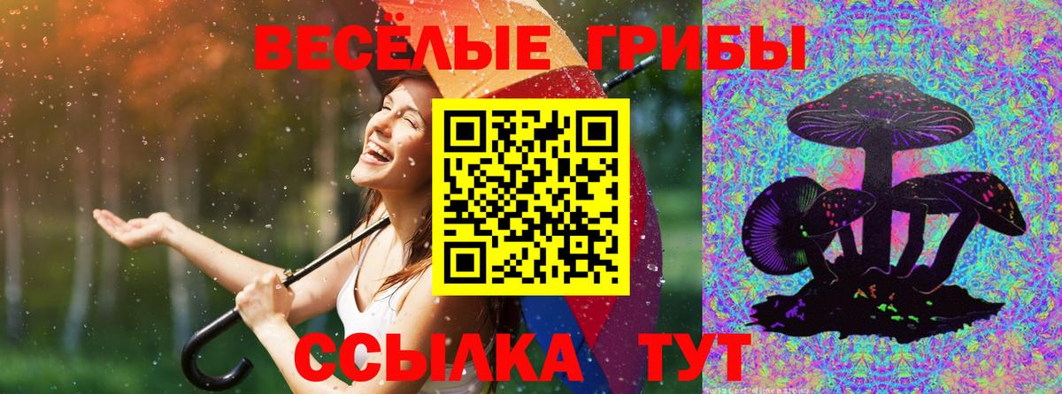 Ялта  Галлюциногенные грибы MAGIC MUSHROOMS  Вход с VPN 